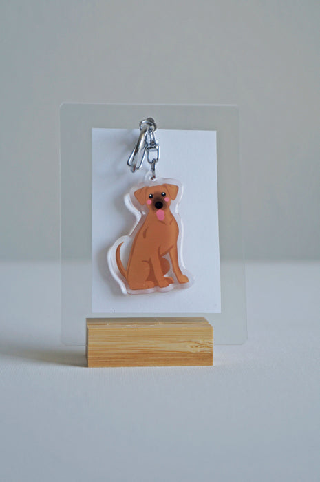 Hound Mix Epoxy Keychain