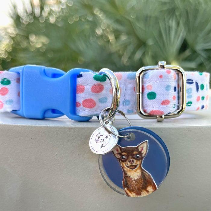 Chihuahua Charm