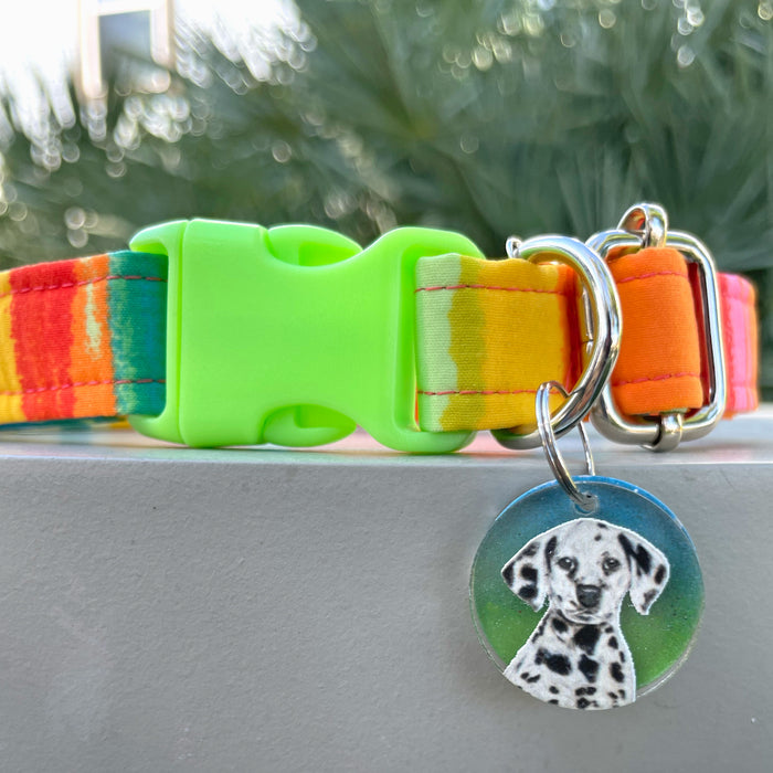 Dalmatian Charm