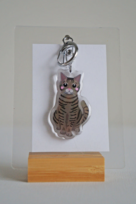 Olive Tabby Cat Epoxy Keychain