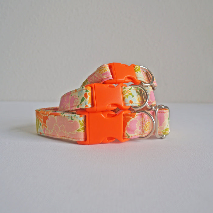 Orange Peony Dog Collar