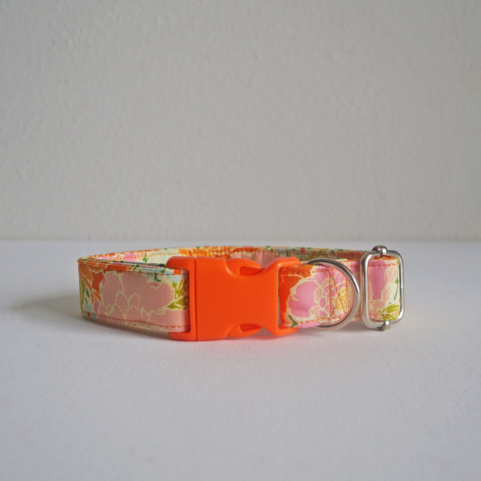 Orange Peony Dog Collar