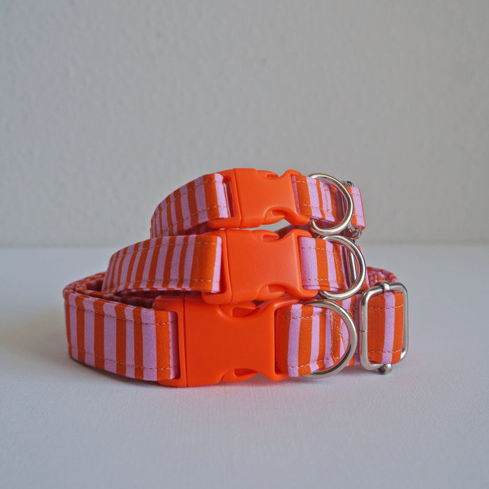 Orange Retro Dog Collar