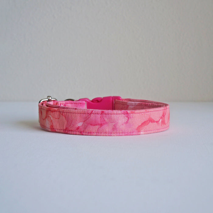 Raspberry Sorbet Dog Collar