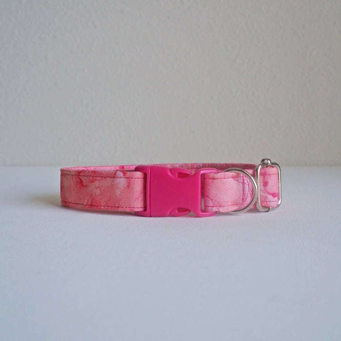 Raspberry Sorbet Dog Collar