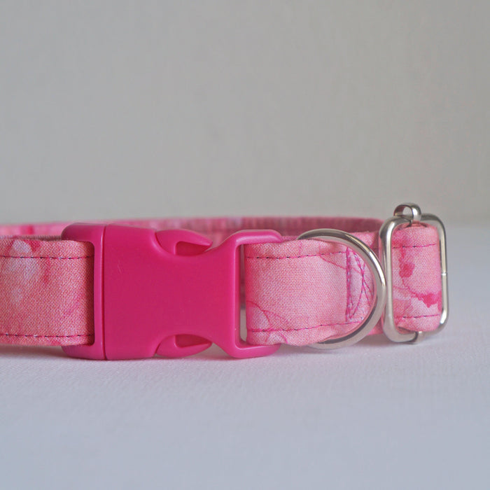 Raspberry Sorbet Dog Collar