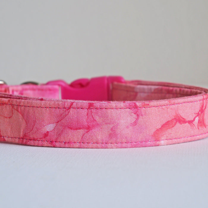 Raspberry Sorbet Dog Collar