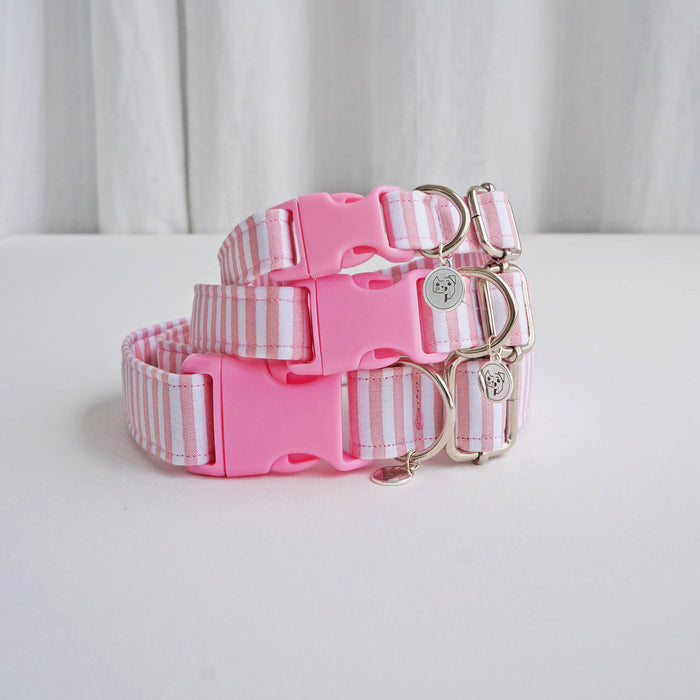 Rose Striped Dog Collar