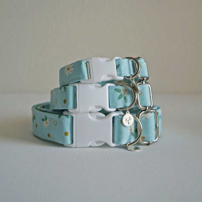 Spring Daisy Dog Collar