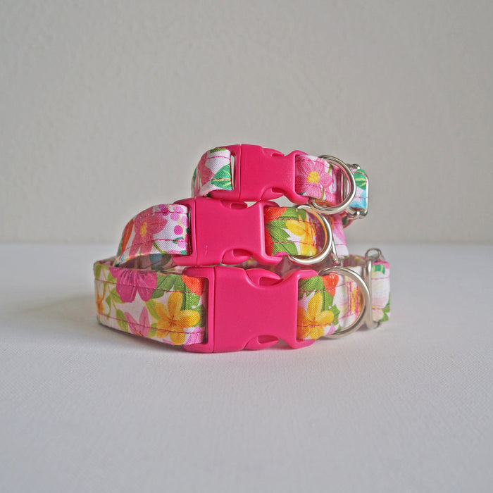 Summer Bloom Dog Collar