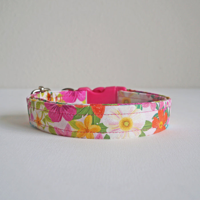 Summer Bloom Dog Collar