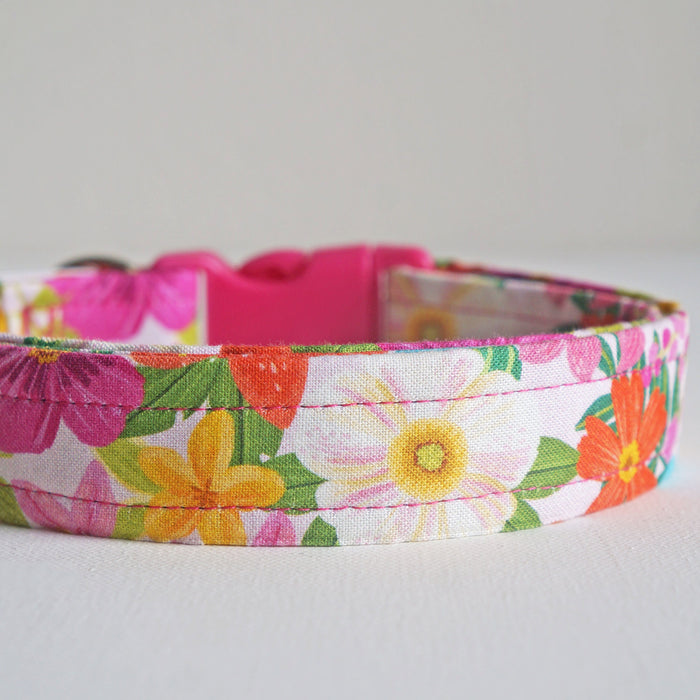 Summer Bloom Dog Collar