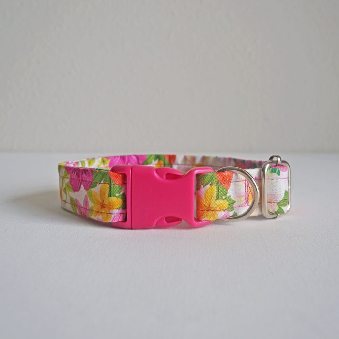 Summer Bloom Dog Collar