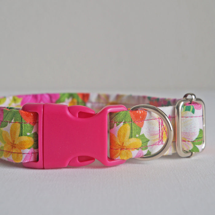 Summer Bloom Dog Collar