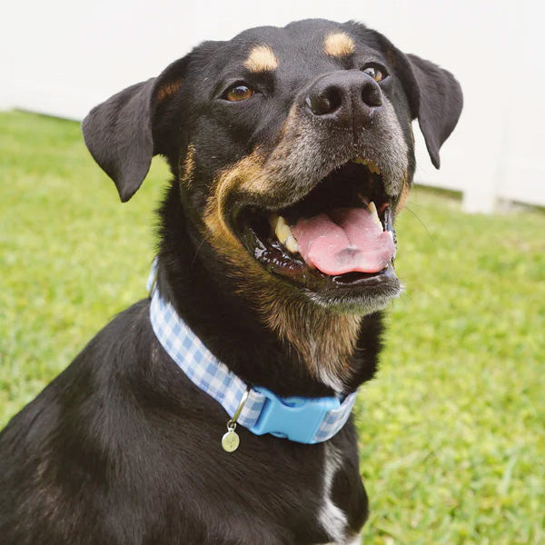 Blue Plaid Dog Collar