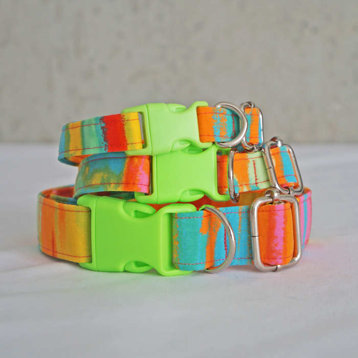 Neon Summer Dog Collar