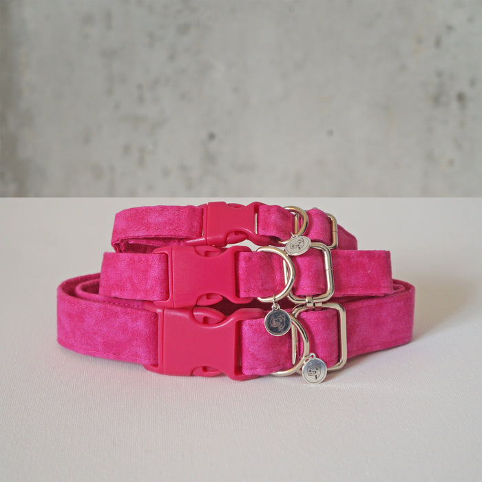Fuchsia Dog Collar