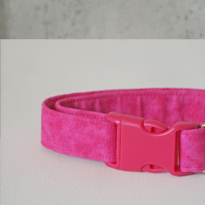 Fuchsia Dog Collar