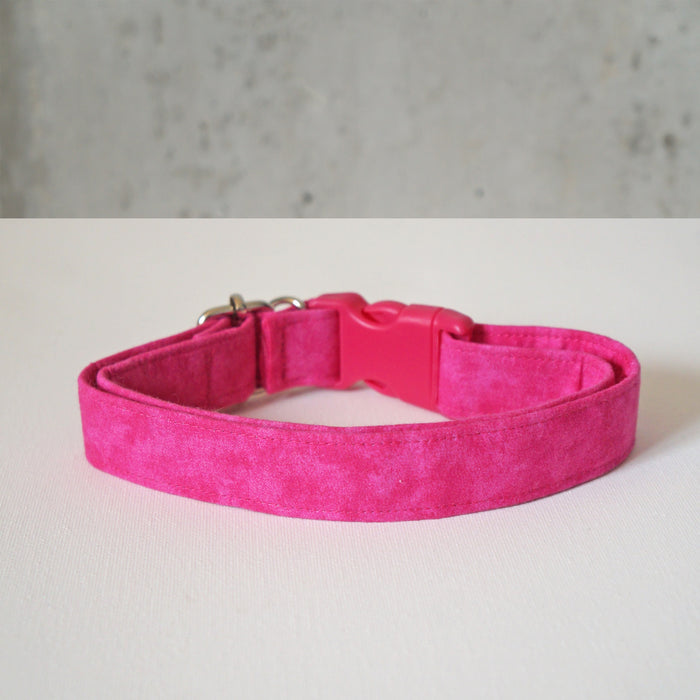 Fuchsia Dog Collar