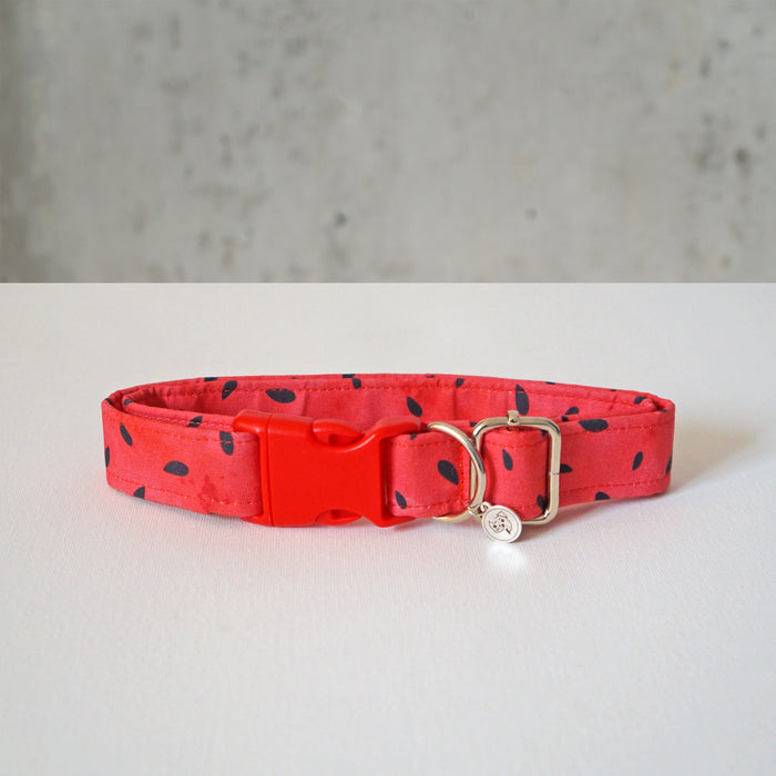 Watermelon Seeds Dog Collar