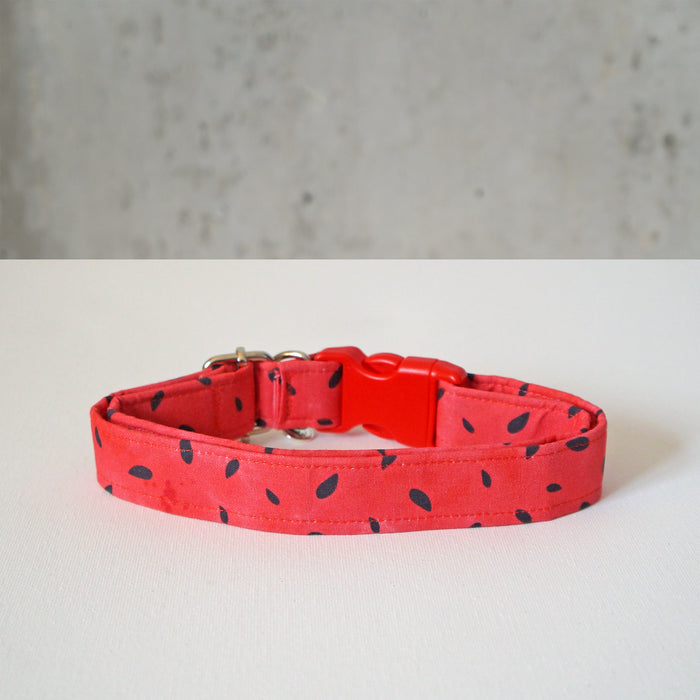 Watermelon Seeds Dog Collar