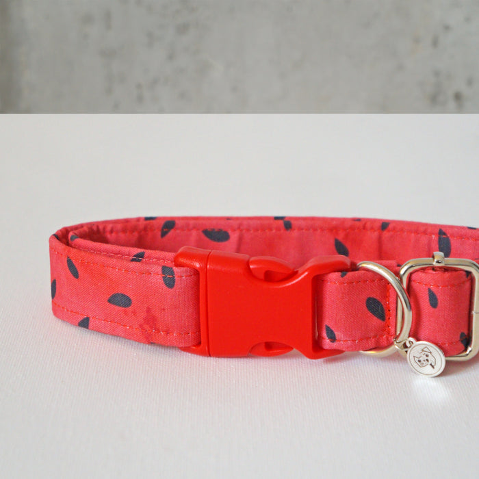 Watermelon Seeds Dog Collar