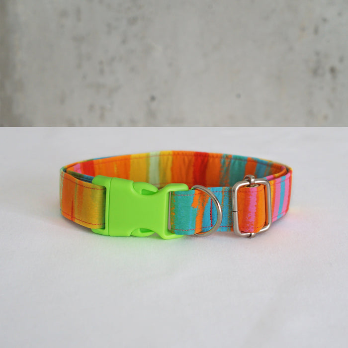 Neon Summer Dog Collar