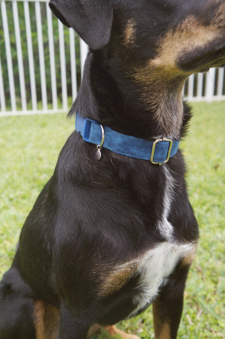 Navy Dog Collar