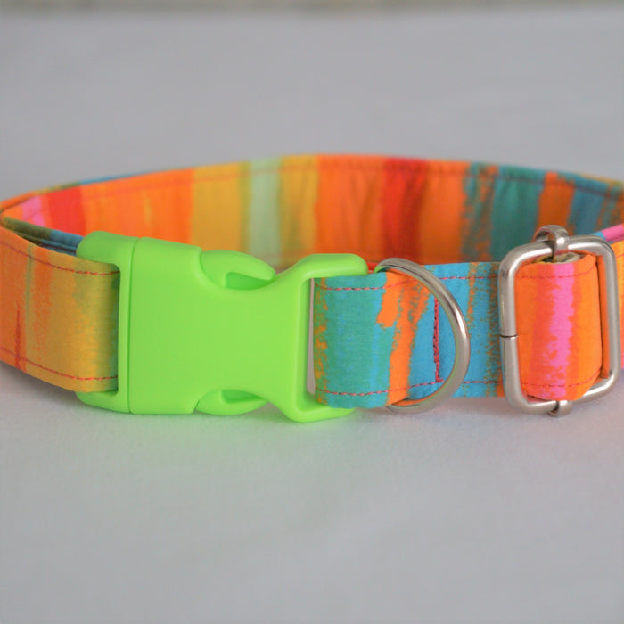 Neon Summer Dog Collar