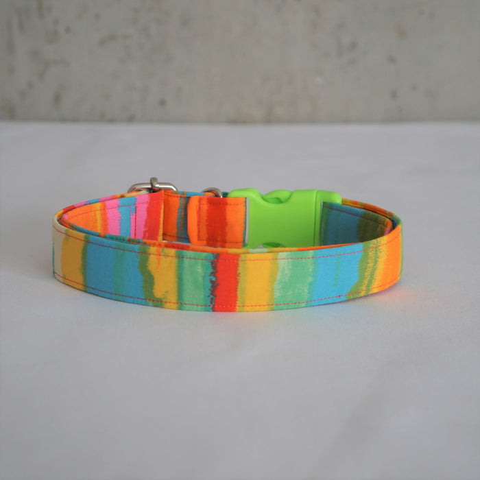 Neon Summer Dog Collar