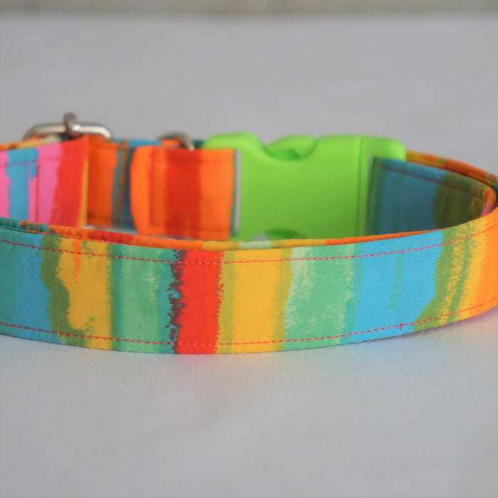 Neon Summer Dog Collar