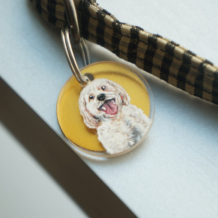 Cavachon Charm